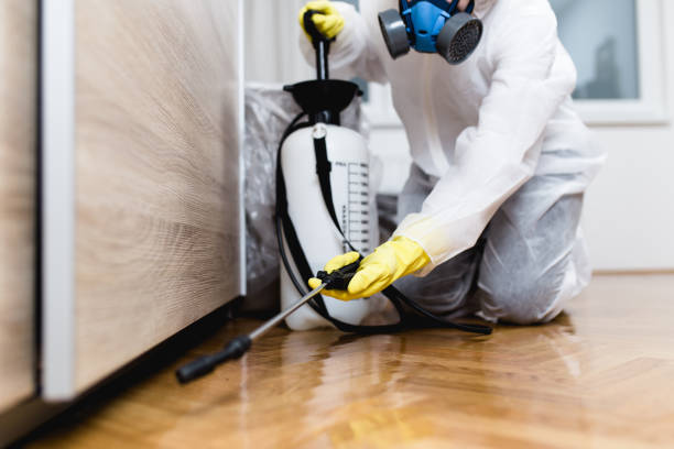 Best Pest Control for Homes  in Asbury Lake, FL