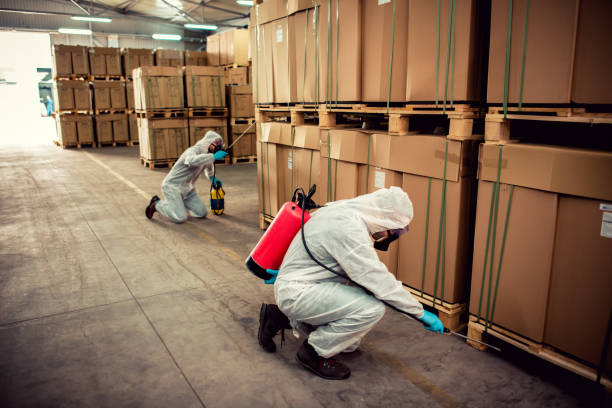 Reliable Asbury Lake, FL Pest Control Solutions