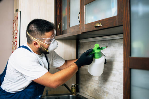 Best Bed Bug Extermination  in Asbury Lake, FL
