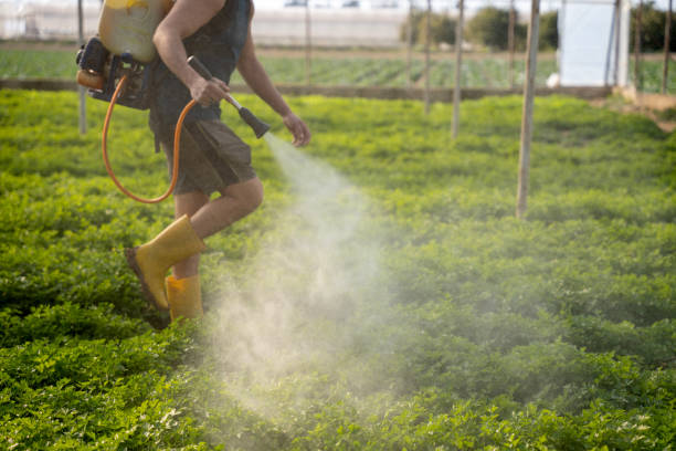 Best Emergency Pest Control  in Asbury Lake, FL
