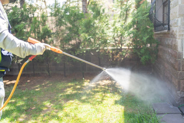 Best Pest Prevention Services  in Asbury Lake, FL