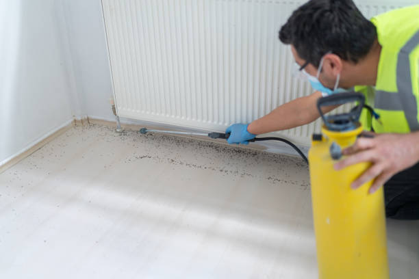 Best Mosquito Control Services  in Asbury Lake, FL