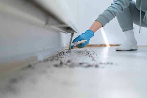 Best Best Pest Control Companies  in Asbury Lake, FL
